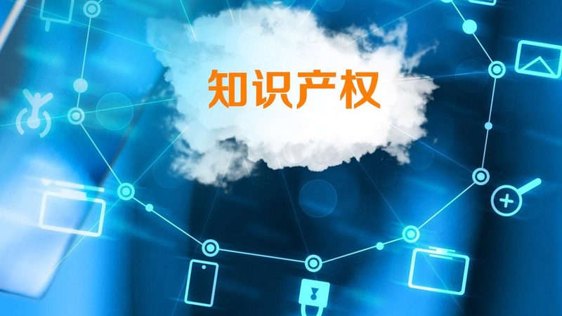自我办理：成本与效率的权衡